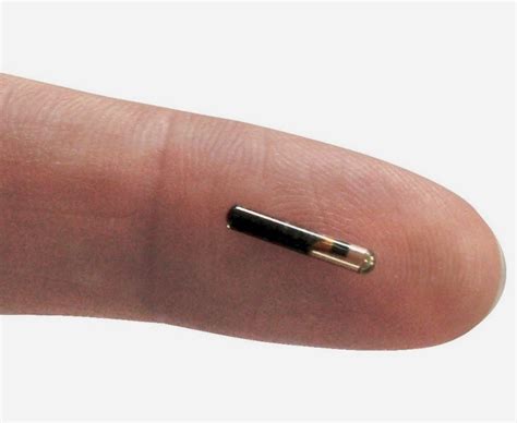 rfid chip changes dna|Human Microchipping: An Unbiased Look at the Pros and Cons.